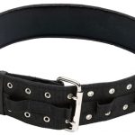PowerMax Belt