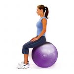 TheraGear Swiss Pro Balls